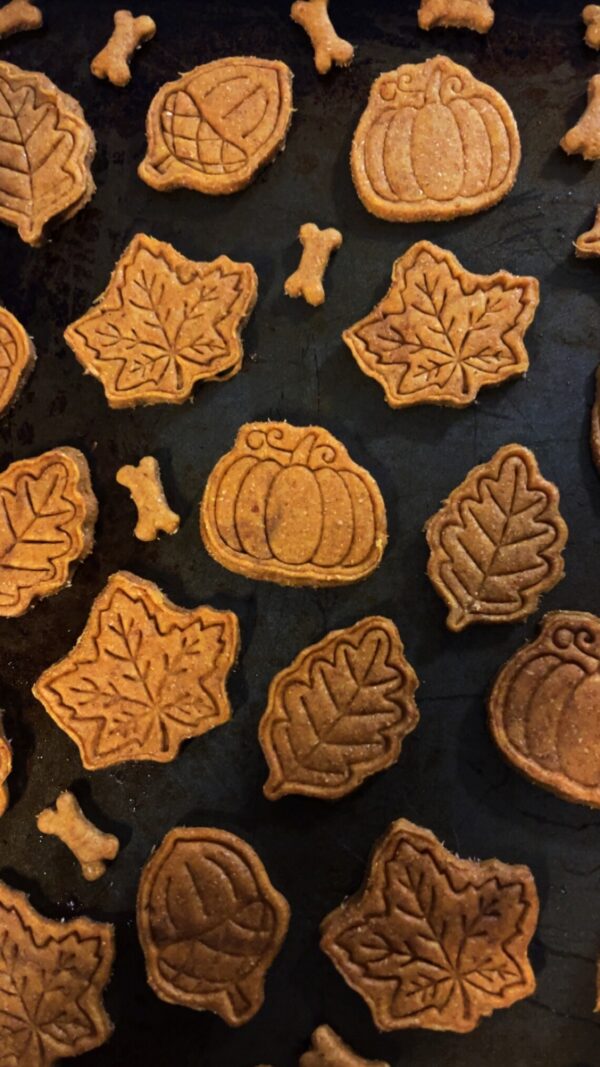 Home Made Dog Treats - Fall Cookies - Get your pup in the season with you- Dog Treats Pet Food Simple - Image 2