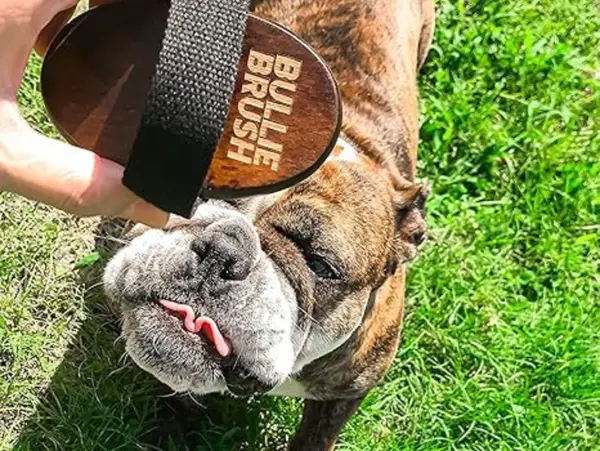 BullieBrush - The Ultimate Grooming Tool for Bulldogs and Pitbulls - Bully Brush is the Shed Brush for Dogs with Short Hair. - Image 2